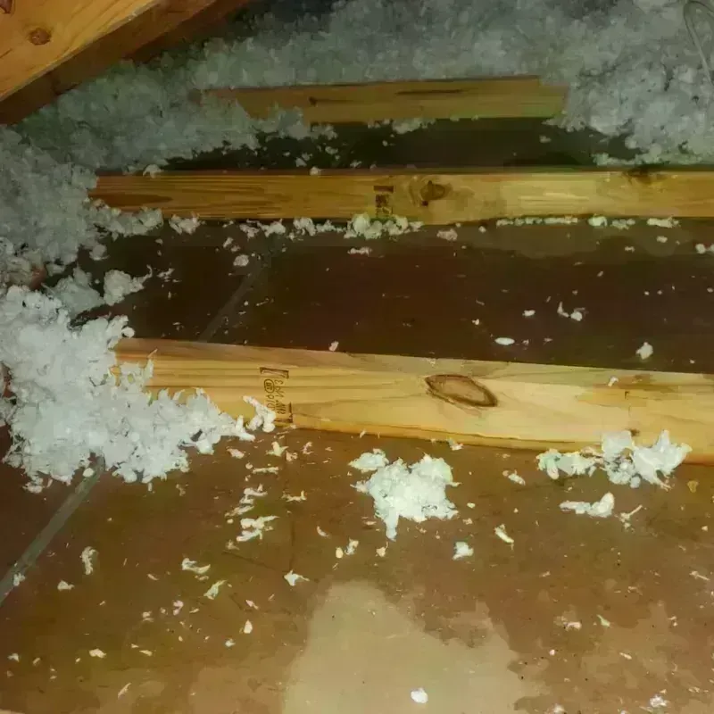 Attic Water Damage in Lake City, PA