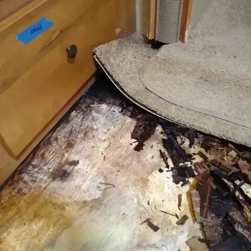 Wood Floor Water Damage in Lake City, PA